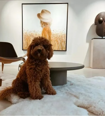 Wool Carpet with Puppy