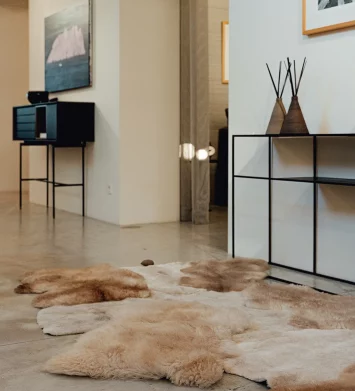 wowowool carpets